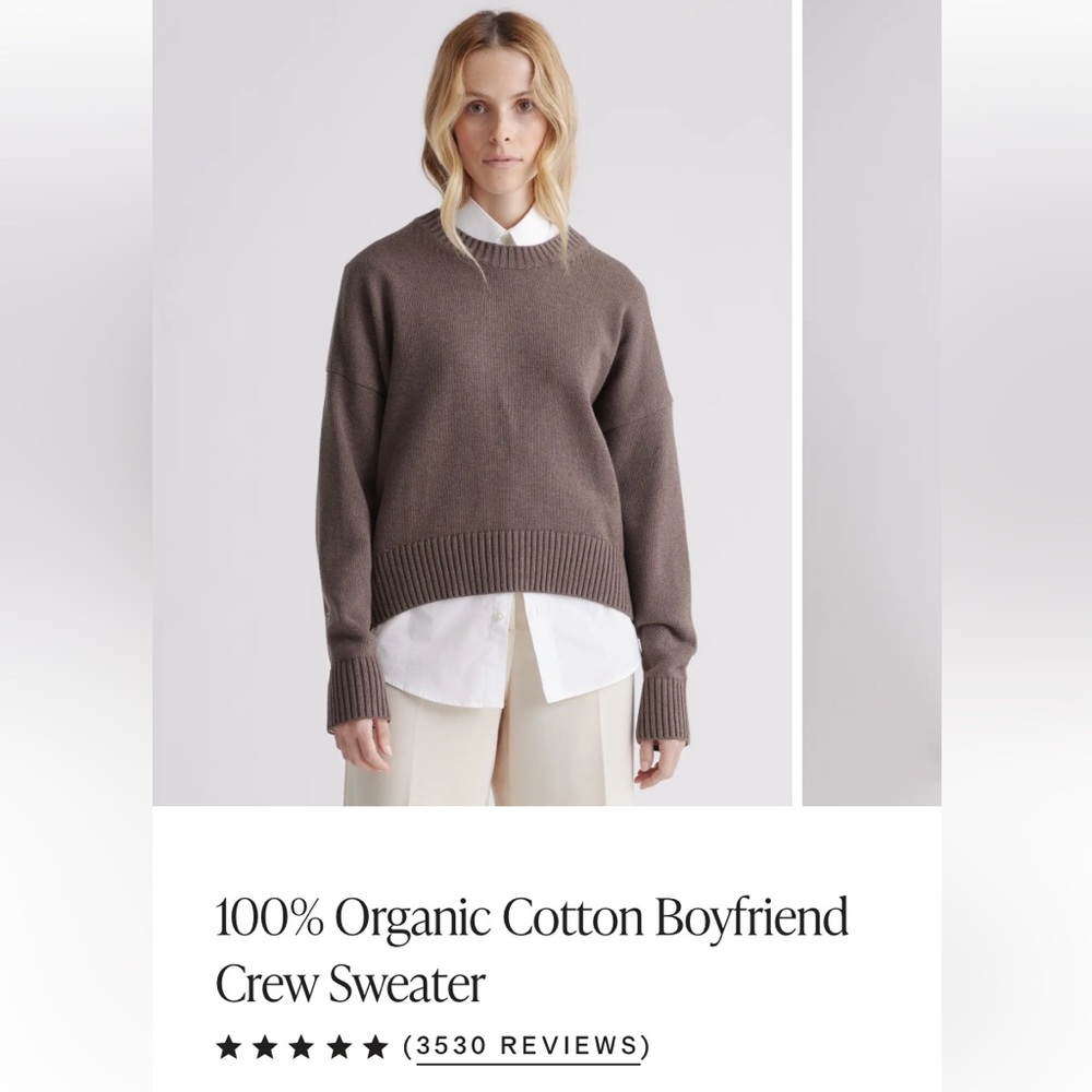 One Quince 100% organic cotton boyfriend sweater